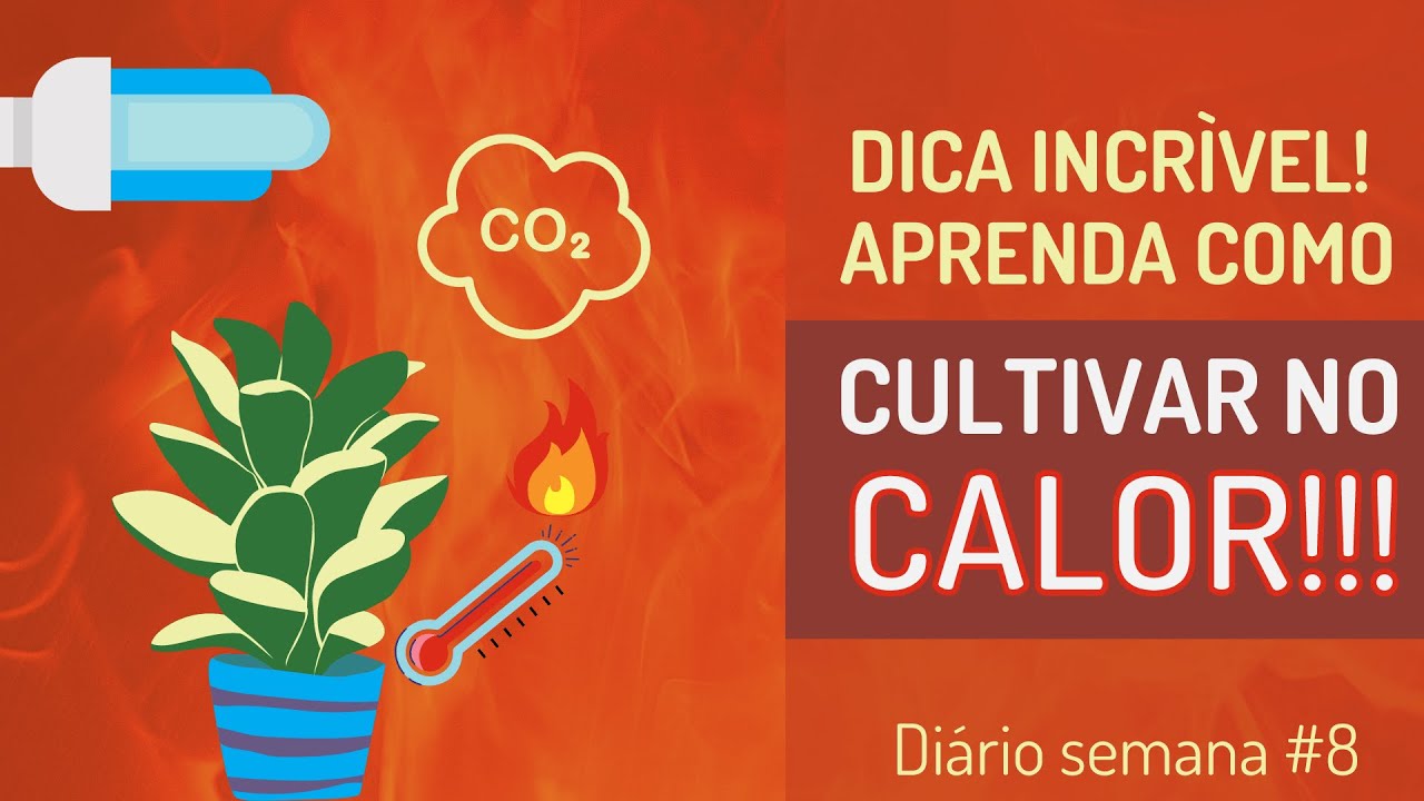 Produção CO2 b4rata: chave p4ra Cultiv0 indoor em alta temperatura - Diário do J4rdineiro #23