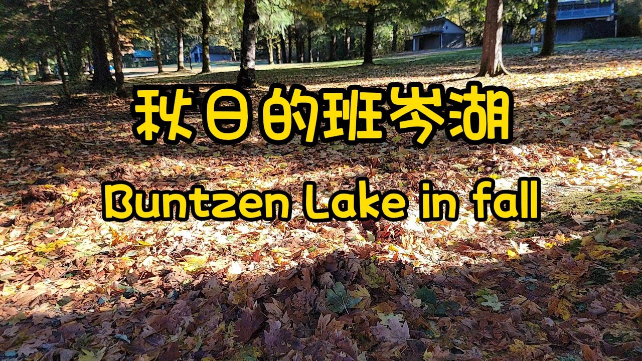 秋日的班岑湖   延着湖边的小径散步，沉浸在阳光带来的温暖，秋天的景色比夏天更具特色
