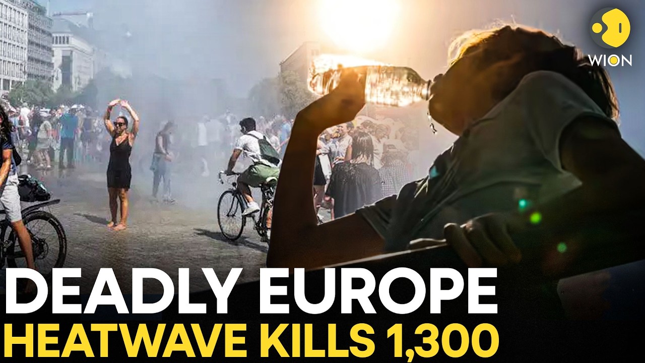 Europe Heatwave: Deadly Europe Heatwave Kills Over 1,300, WHO Warns Of Rising Risk | Originals