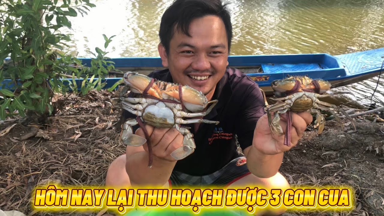 HÔM NAY LẠI THU HOẠCH ĐƯỢC 3 CON CUA 🦀 NHA CẢ NHÀ