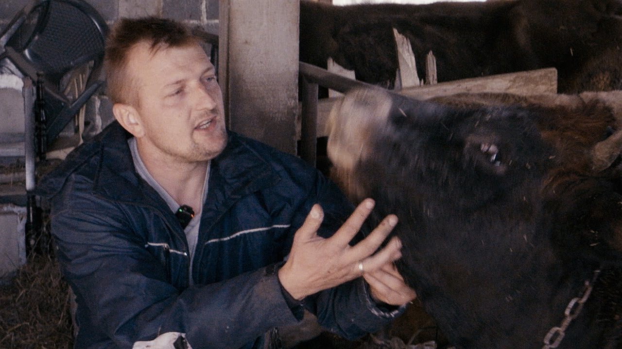 Hamid zakupljuje tuđu zemlju, uzgaja stoku i prodaje