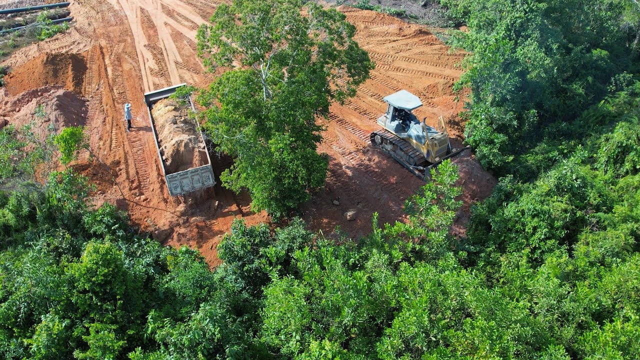 Heavy Bulldozer Pushing Dirt - Dump Truck Unloading Dirt - Bulldozer Clearing Forest