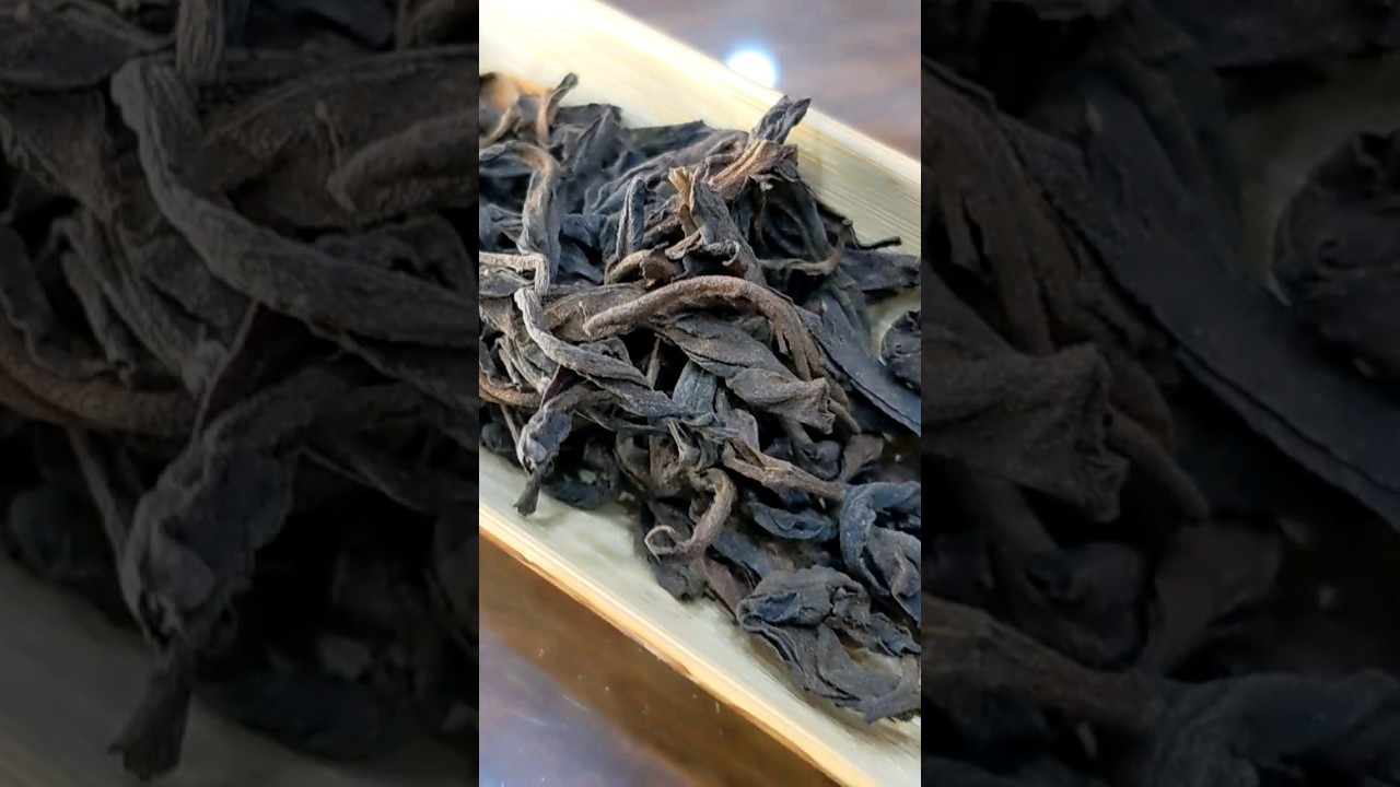 JO是要喝茶-喝點老散茶，回憶人生😄80年代特級大葉散#普洱茶 #健康