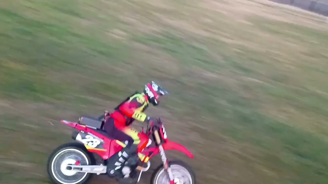 Losi promoto mx Wheelie mode