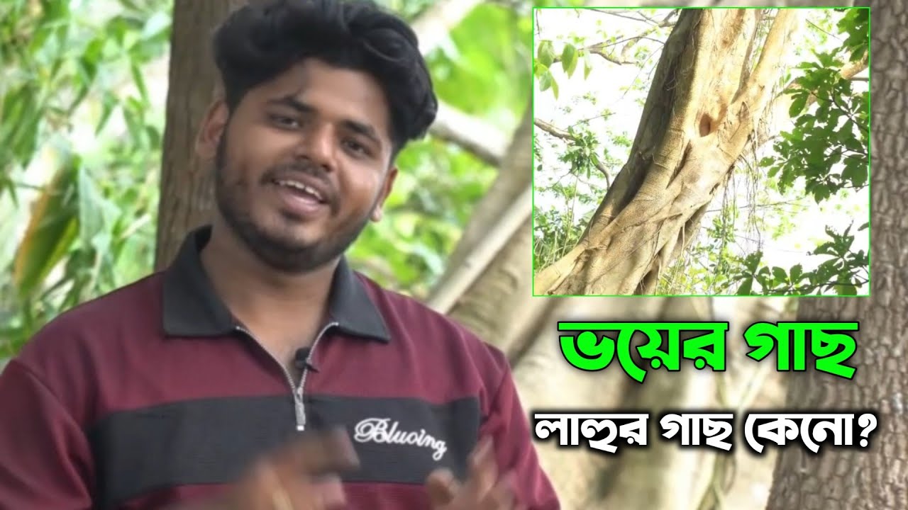লাহুর গাছকে সবাই ভয় পায়? কিন্তু কেনো #লাহুরগাছ #লাহুরি #লাহুরগাছমানুষভয়পায় #লাহুরগাছএসাপেরবাসা