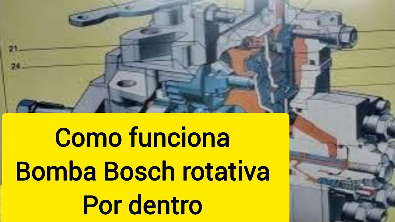 Bomba injetora Bosch ROTATIVA, COMO FUNCIONA por dentro