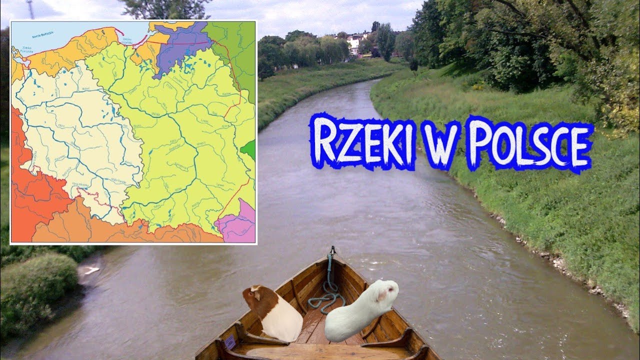 Rzeki w Polsce. Ich źródła, ujścia, dorzecza i zlewiska (geografia - lekcja dla klasy 7)