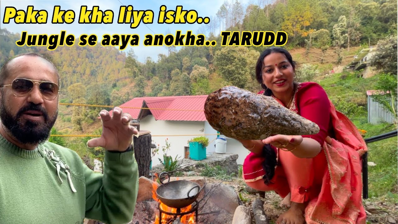 पका के खा लिया जंगल से आया.. TARUDD, Jungle se aaya aur paka ke kha liya 💪 | Pahadi food, Kand mool