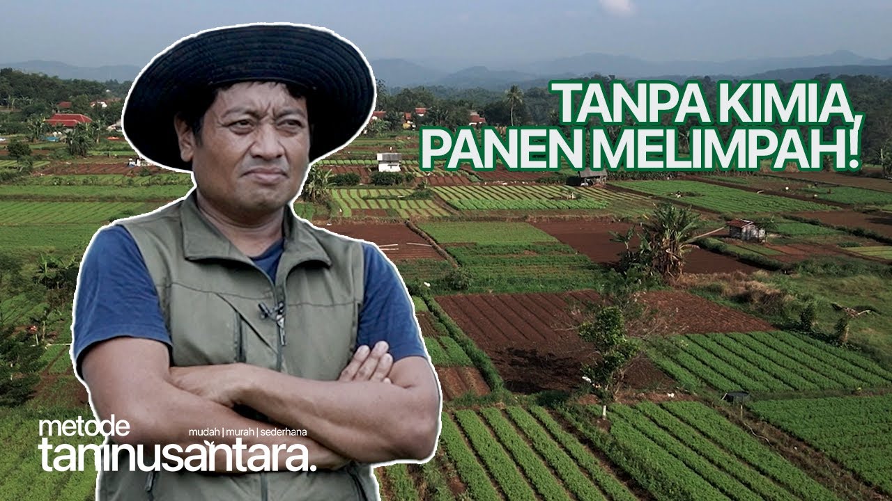 METODE NUSANTARA DI SAGA FARM: KEMBALI KE PERTANIAN ALAMI