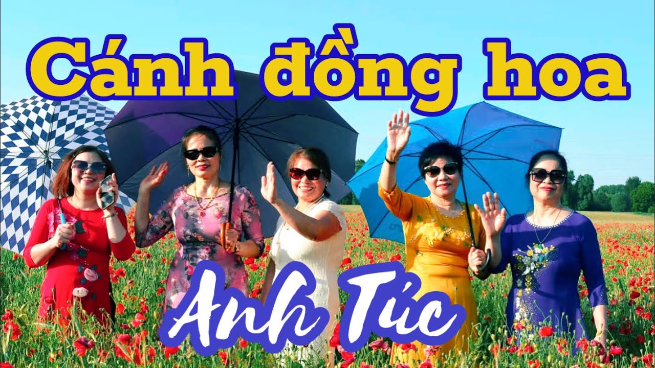 Cánh Đồng Hoa Anh Túc Ngoại Ô Berlin