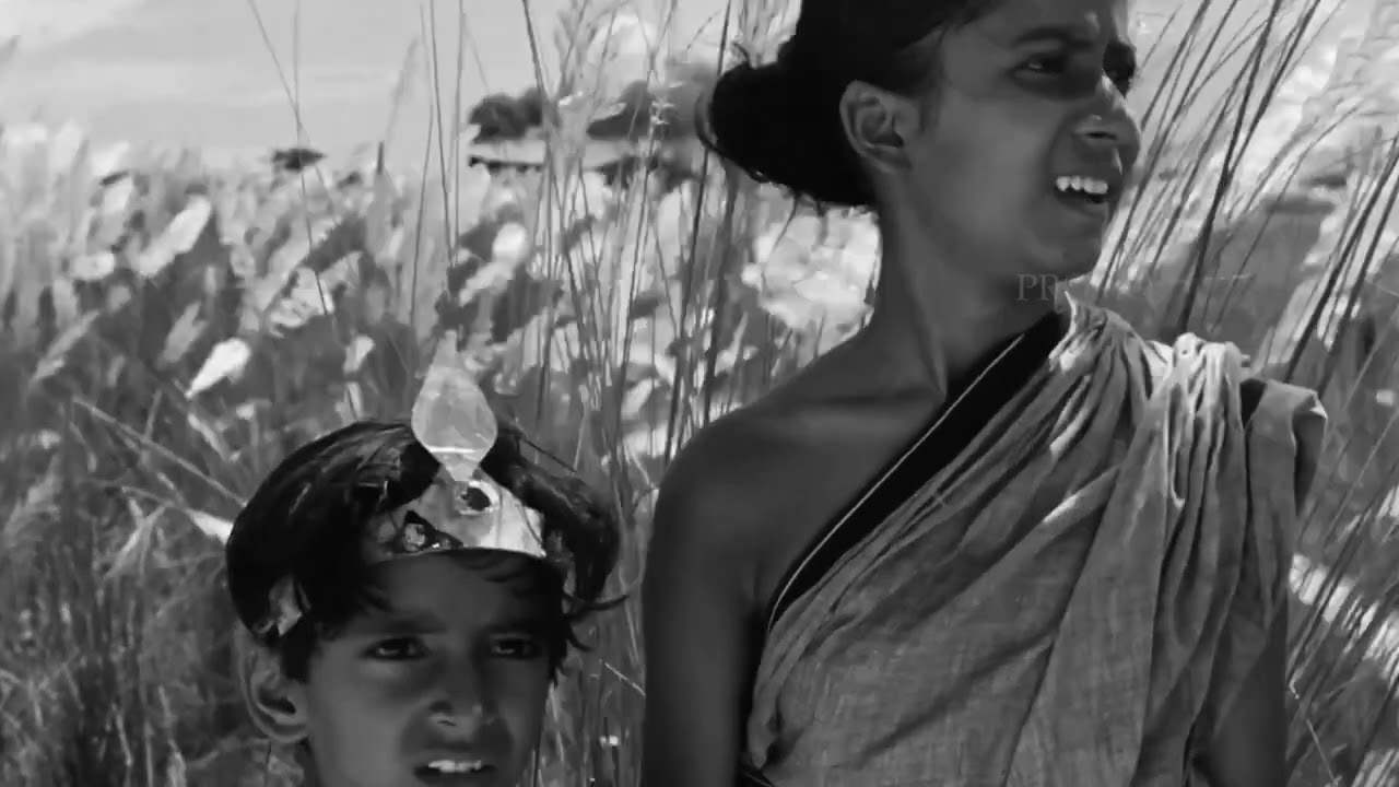 Satyajit Ray Something Like Cinema Promo