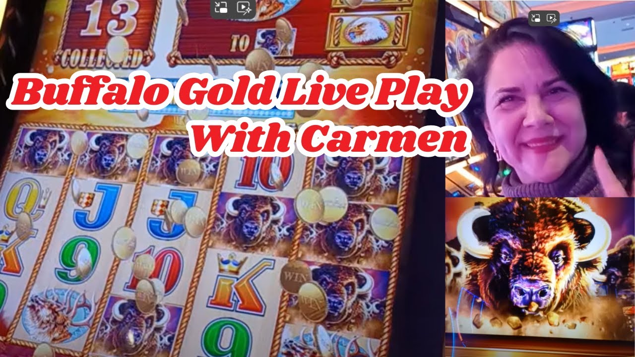 Buffalo Gold Live Play - Carmen plays too