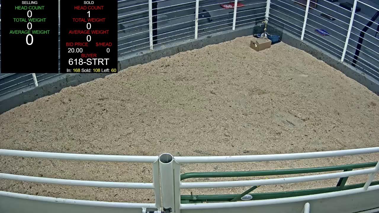 Everson Auction Market Live Stream 3/2/2026