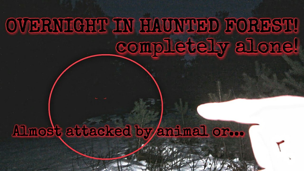 FOUND BONES IN THE HAUNTED FOREST!! STAYING OVERNIGHT IN THE HAUNTED FOREST ALONE!!