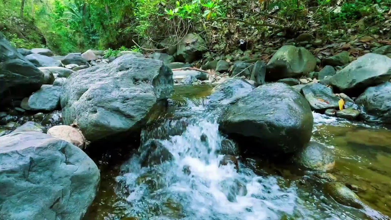 Flowing River Sounds for Sleep and Relaxation | Peaceful Nature Ambience for Meditation