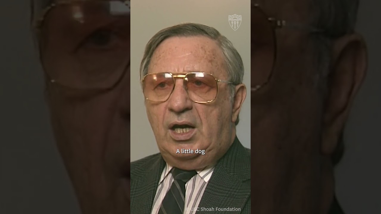 The Dog Who Knew to Stay Quiet | Holocaust Survivor David Gurvitz