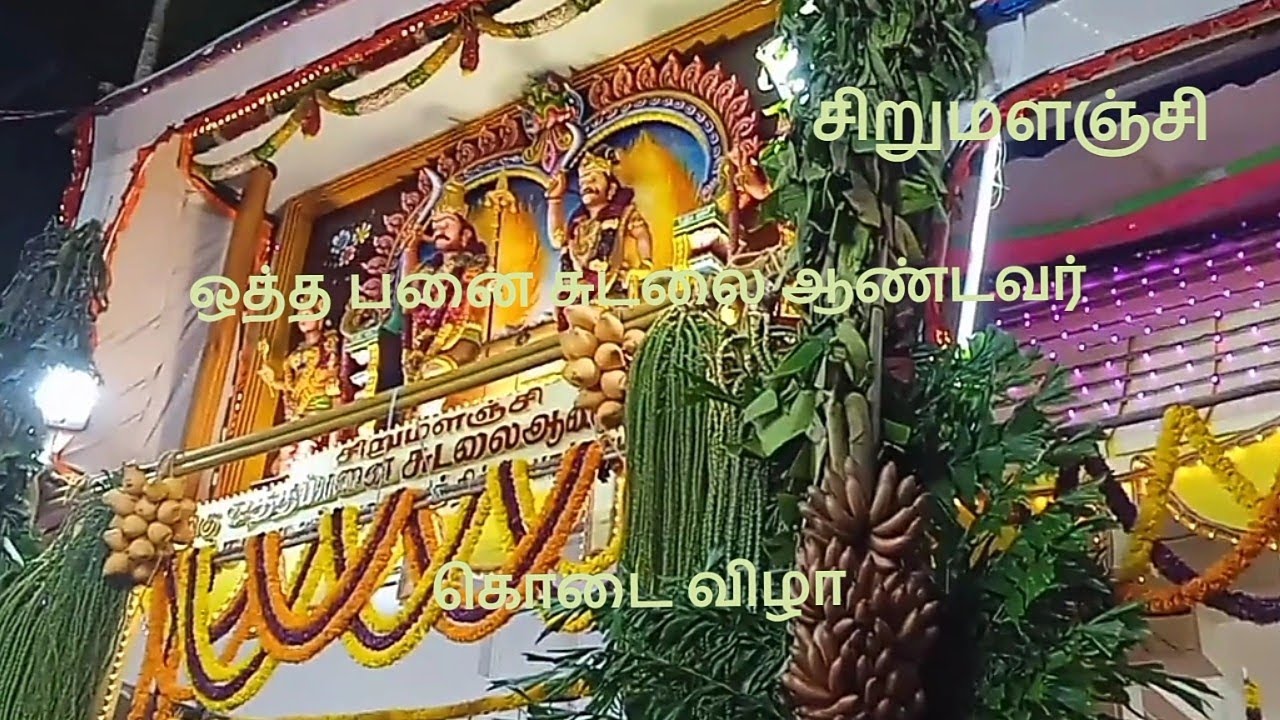 சிறுமளஞ்சி #ஒத்தபனை சுடலை ஆண்டவர் கோவில் கொடை விழா 1-9-2023
