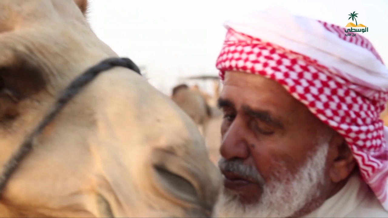برنامج أهل الابل - راشد بن حمود الطنيجي