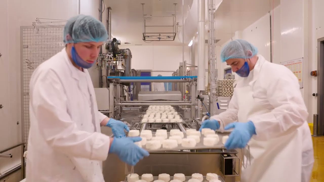 Bezoek aan de kaasmakerij Terre de fromages