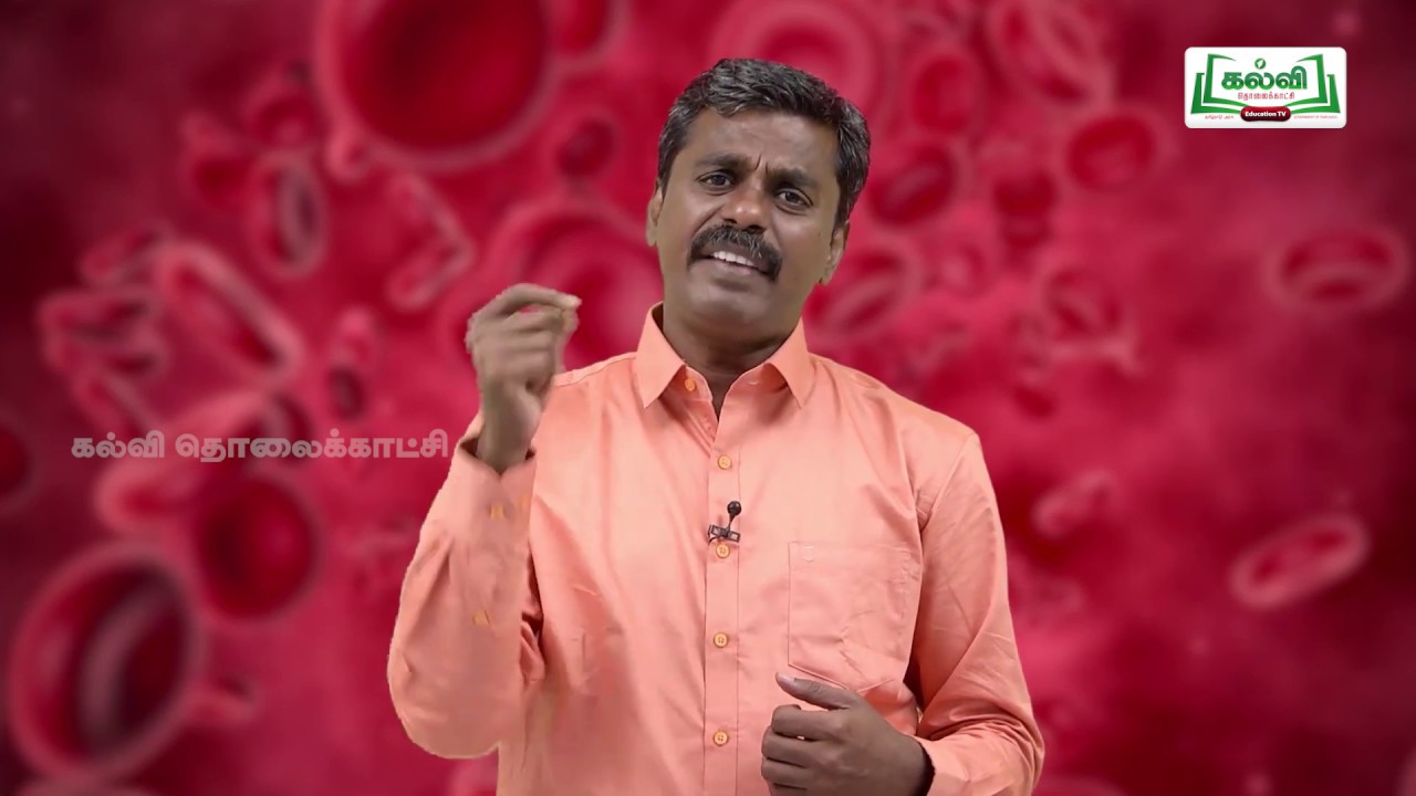 Class 10 | வகுப்பு 10 | அறிவியல் | அலகு 14 | விலங்குகளின் சுற்றோட்டம் | Kalvi TV