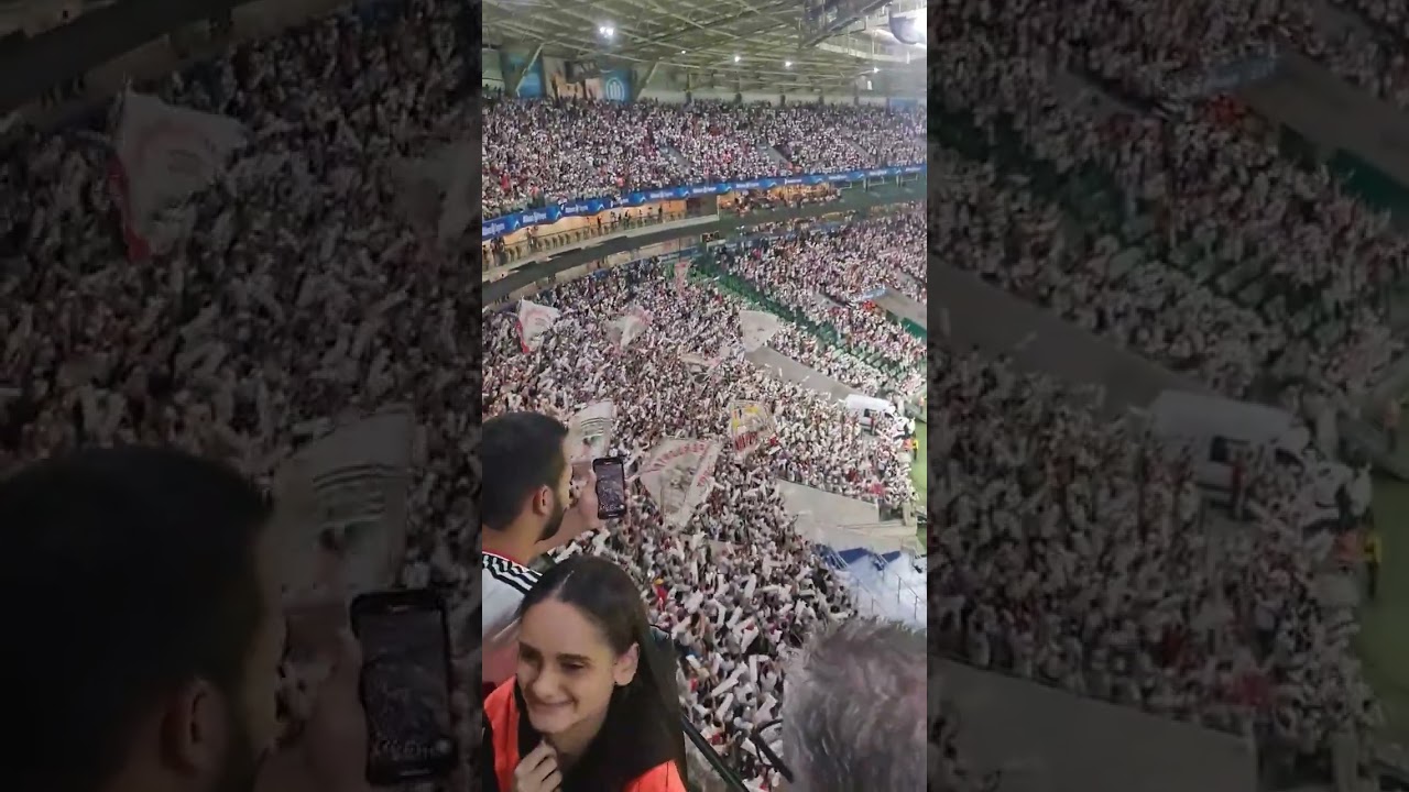 Torcida do São Paulo Futebol Clube no Allianz Parque. Show na arquibancada. Torcida que conduz!