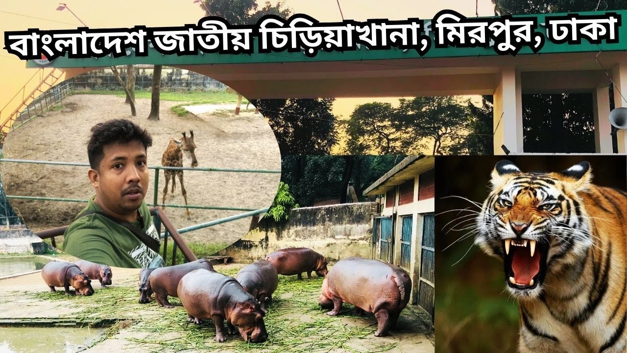 বাংলাদেশ জাতীয় চিড়িয়াখানা ঘুরে এলাম | বাংলাদেশ জাতীয় চিড়িয়াখানা 2025 | Mirpur National Zoo | Dhaka