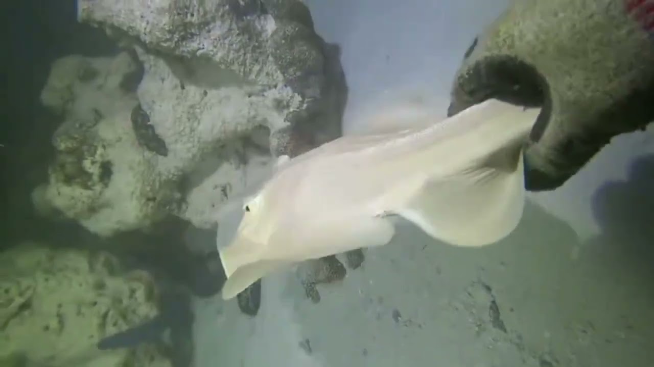 What is there to see at the beach today, and what kind of seafood can we catch?