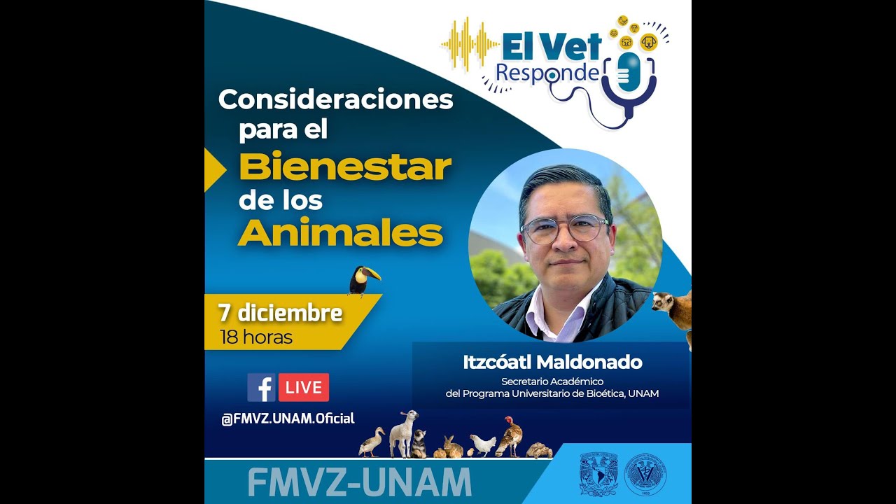 Consideraciones para el bienestar de los animales