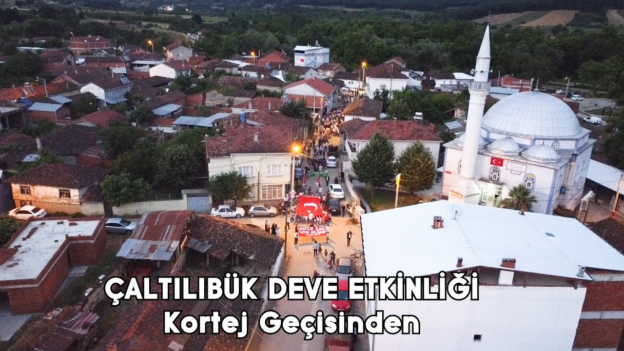 ÇALTILIBÜK DEVE KORTEJ