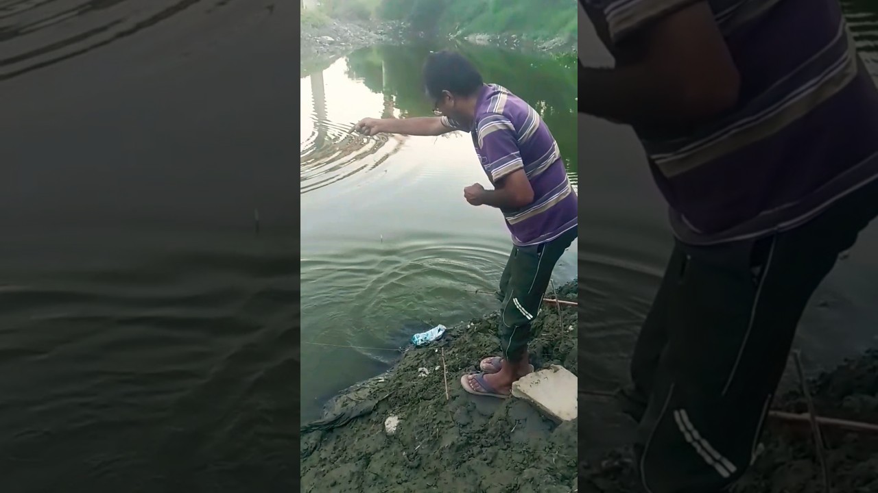 Catching Big catfish in yamuna #fishing #fish #yamuna