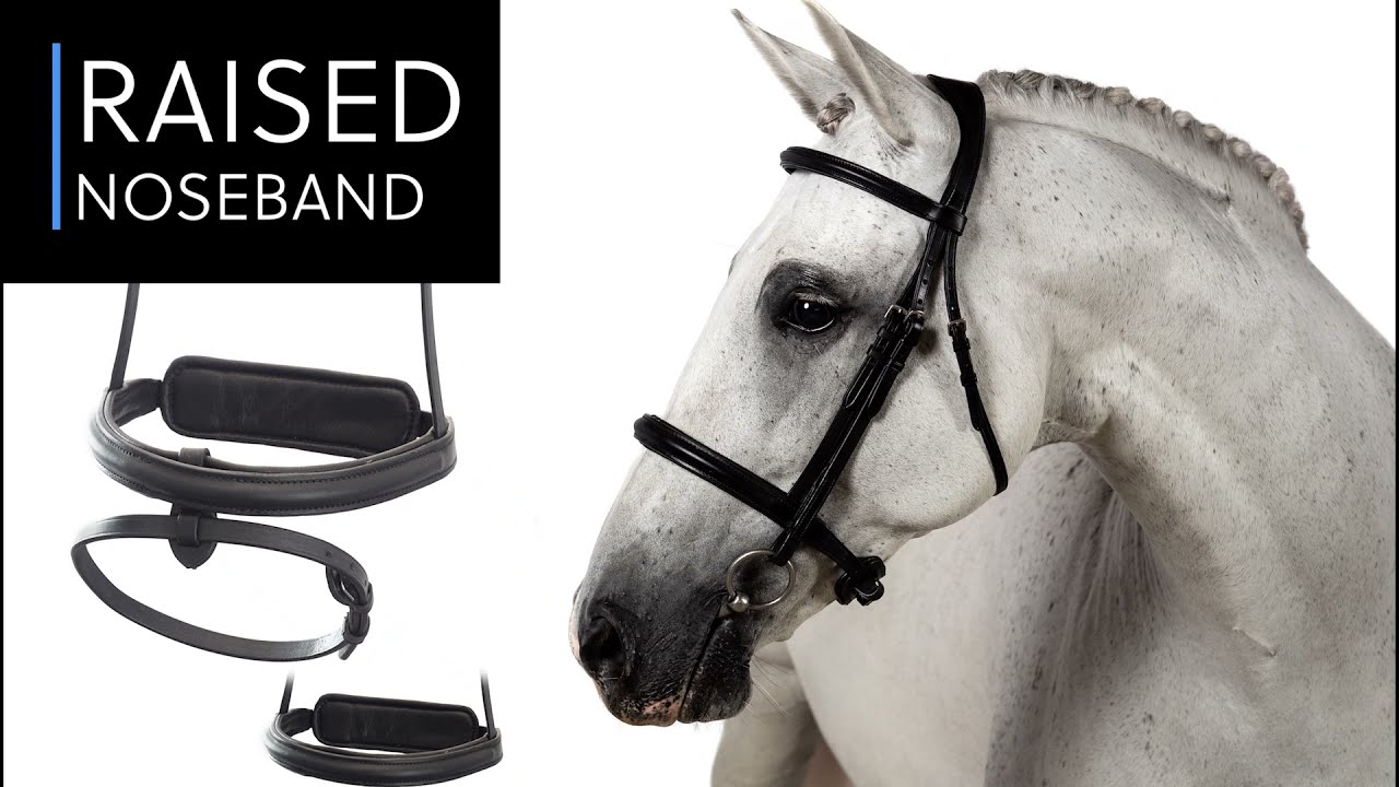 Flexible Fit Equestrian - NOSEBANDS Explained