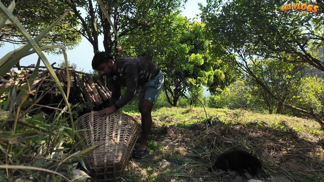 Village life in one video is not enough