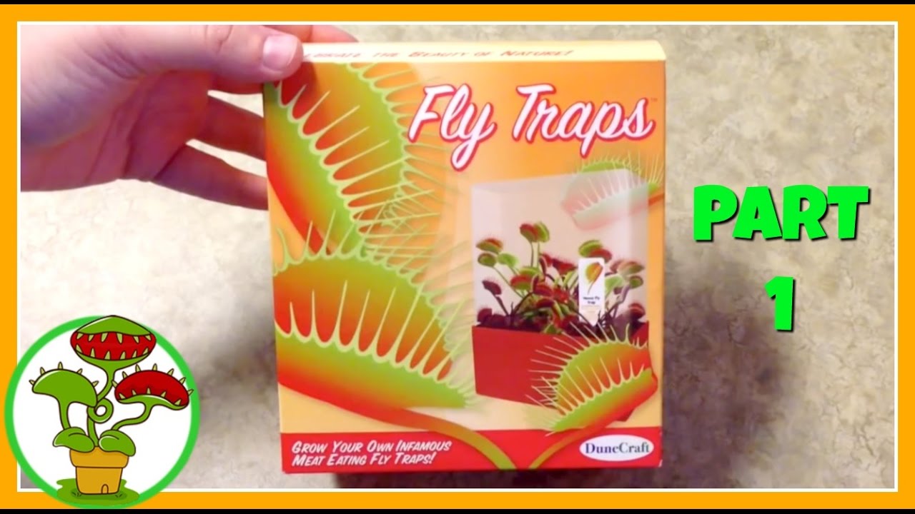Venus Fly Traps: Part 1
