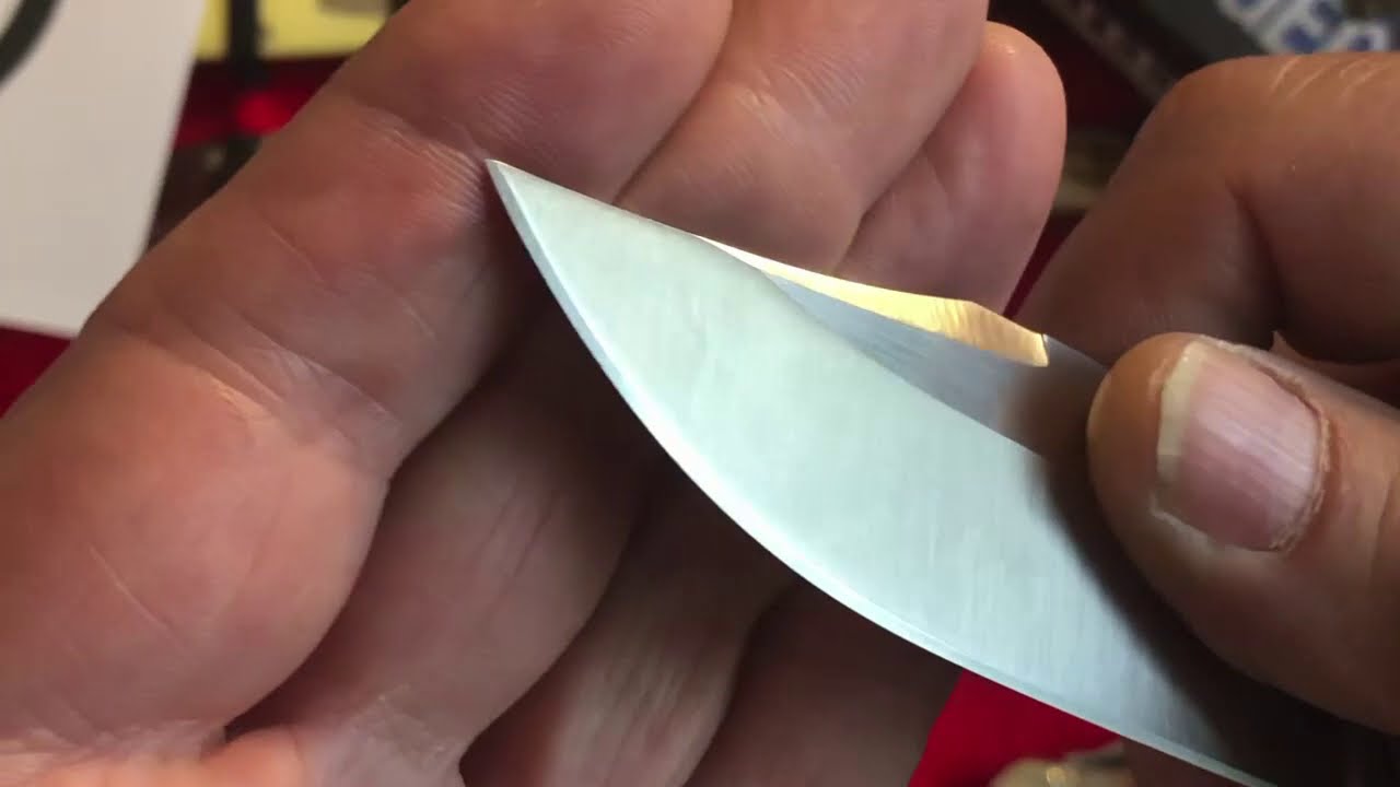 The Cold Steel Bush Ranger - Is This A Review? 2020!!!!!