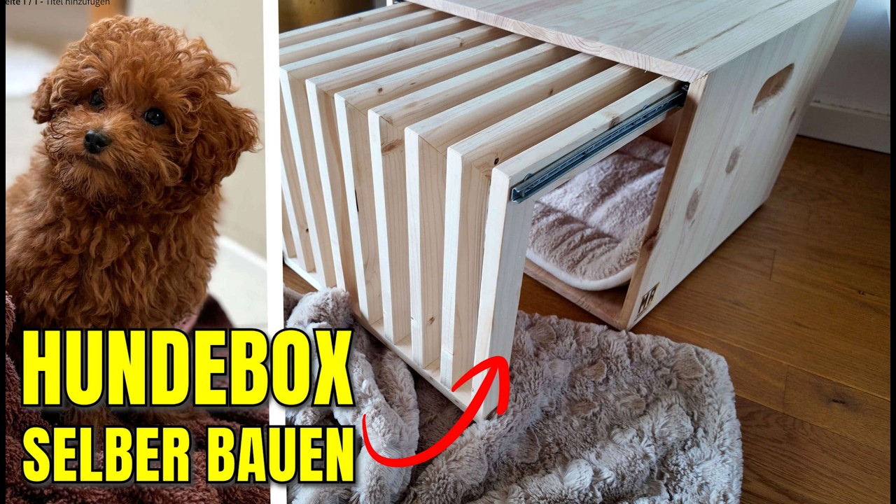 DESIGN HUNDEBOX selber bauen aus Holz / Die perfekte Hundehütte für deinen Hund 🐕