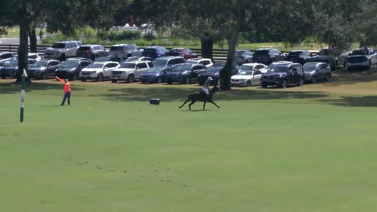 The Villages Polo Club 10/27/2024
