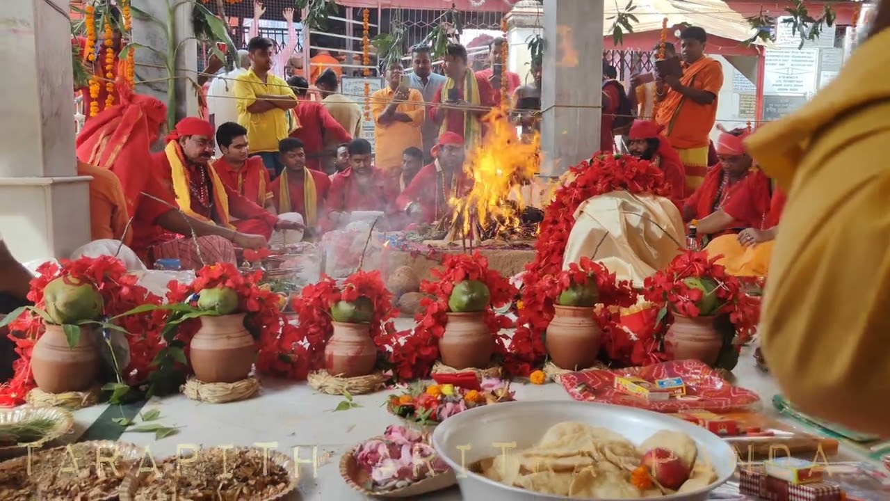 Tarapith Mahaastomi Mohajoggo || মহাষ্টমীর মহাযজ্ঞ || #tarapitharitrapanda #tarapith