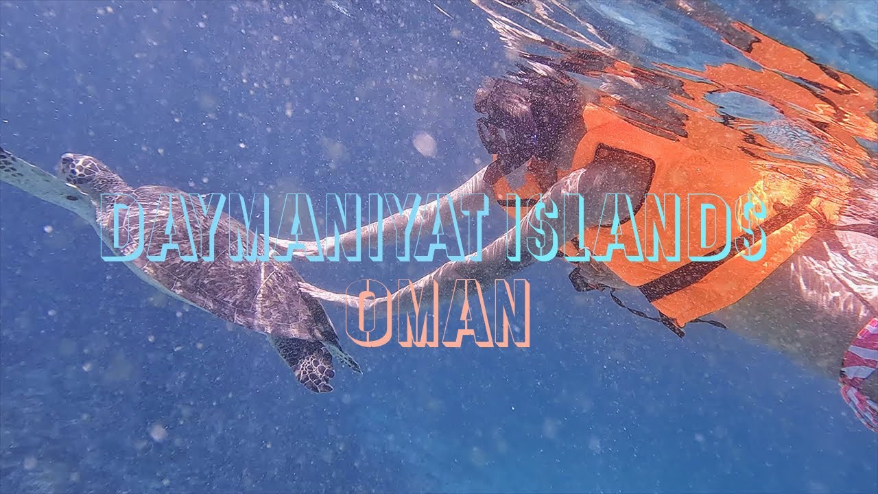 Snorkeling with Sea Turtles in Daymaniyat Islands, Oman 🐢🌊 | Tropical Island Adventure!