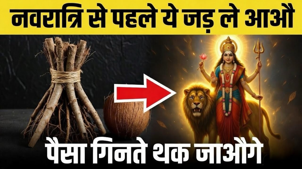 नवरात्रि से पहले ये जड़ घर ले आओ, पैसा गिनते थक जाओगे | Navratri Upay 
