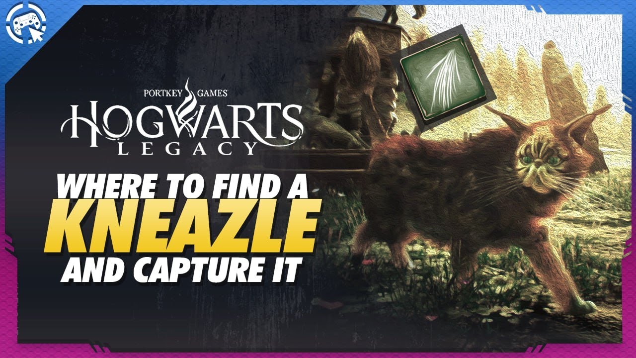 WHERE TO FIND KNEAZLE AND HOW TO CAPTURE | KNEAZLE FUR - CUTEST CAT IN HOGWARTS LEGACY