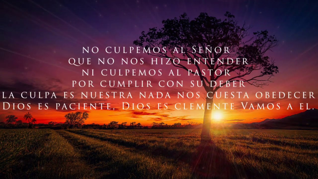 182. Examinemos nuestro vivir