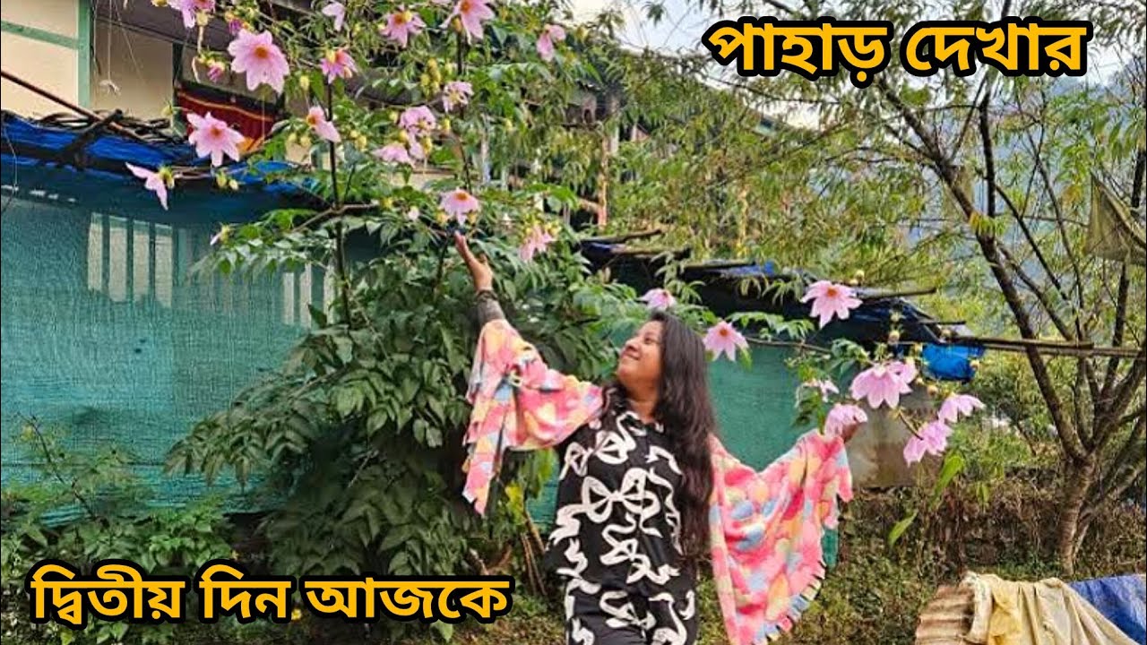 পাহাড় দেখার দ্বিতীয় দিন আজকে 😍