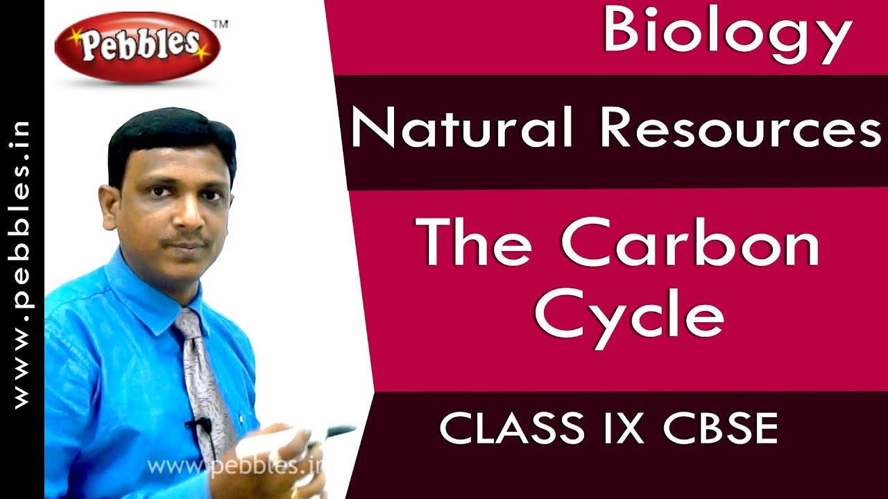 The Carbon Cycle : Natural Resources | Biology | Class 9 | CBSE