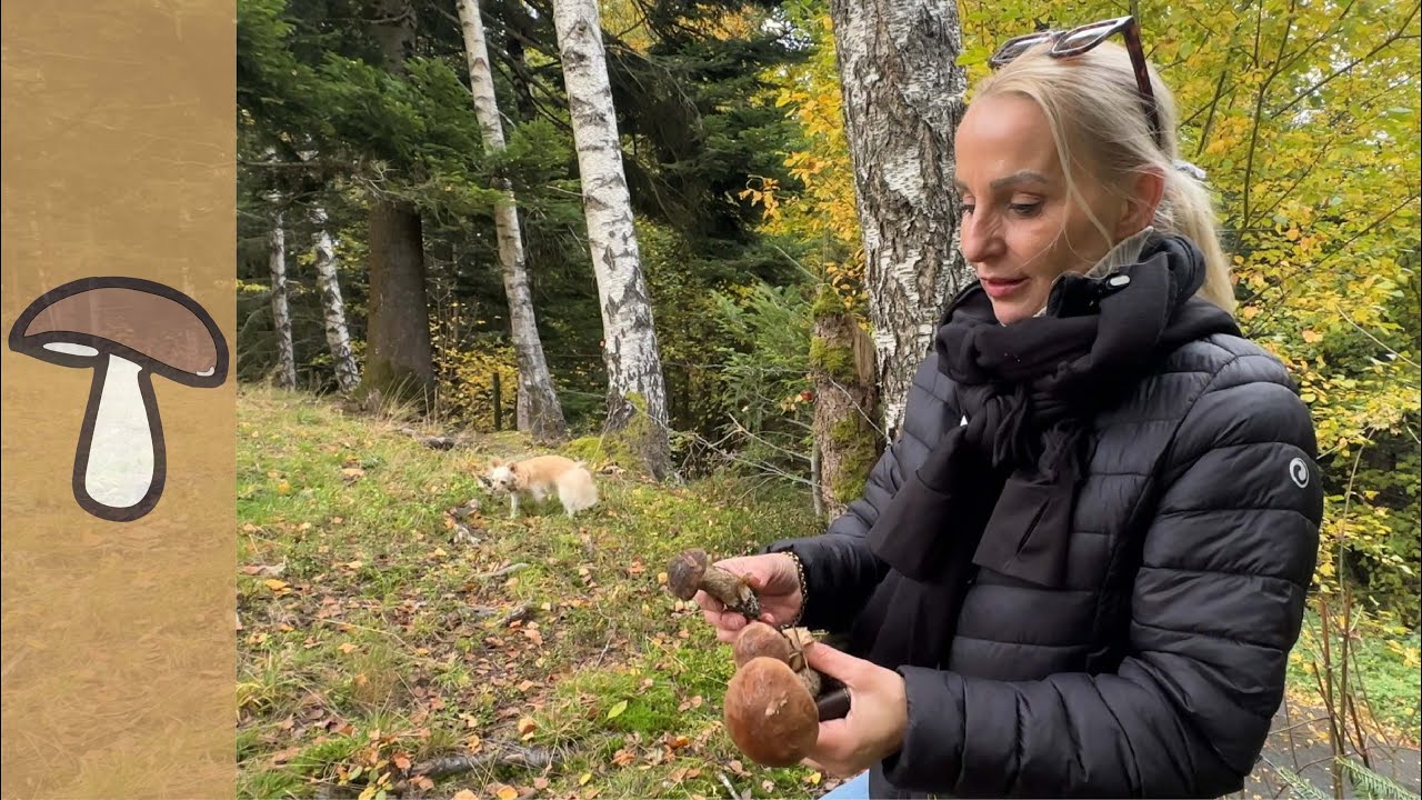 🍄MEGA PILZFUNDE - ERSTFUND STAHLBLAUER RÖTLING