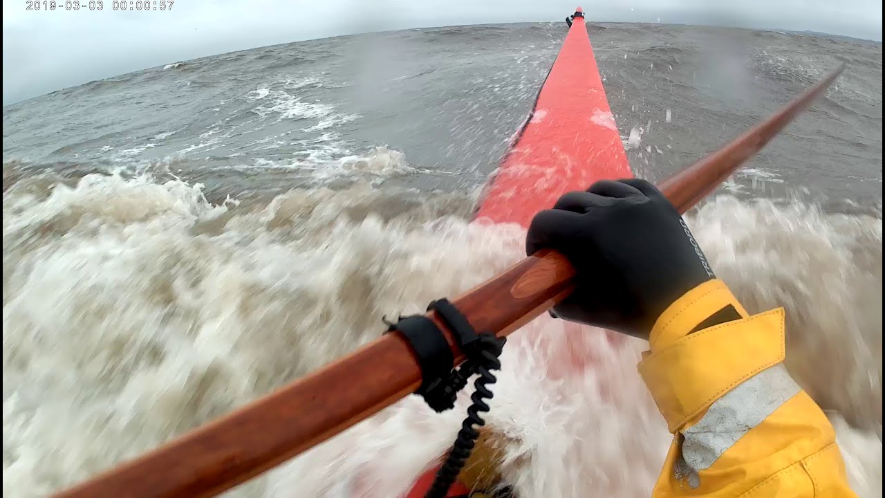 ANAS ACUTA PORTOBELLO KAYAKING IN ROUGH CONDITION