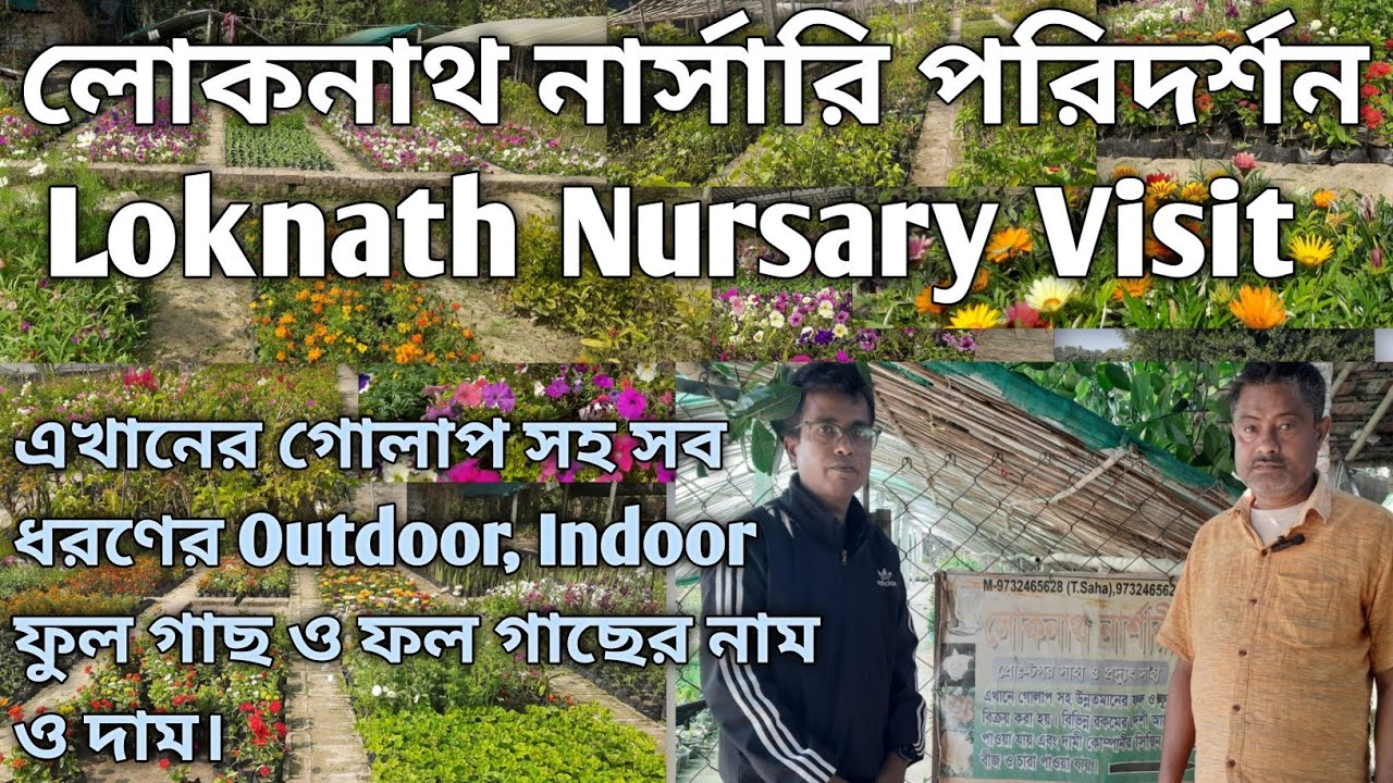 লোকনাথ নার্সারি পরিদর্শন, (Loknath Nursary Visi.)