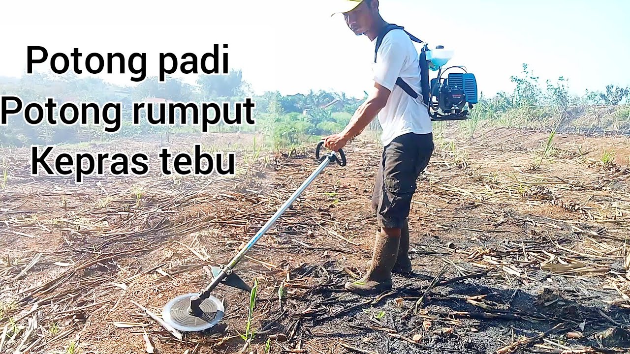mesin potong rumput 2 tak gendong 700ribuan modern m328