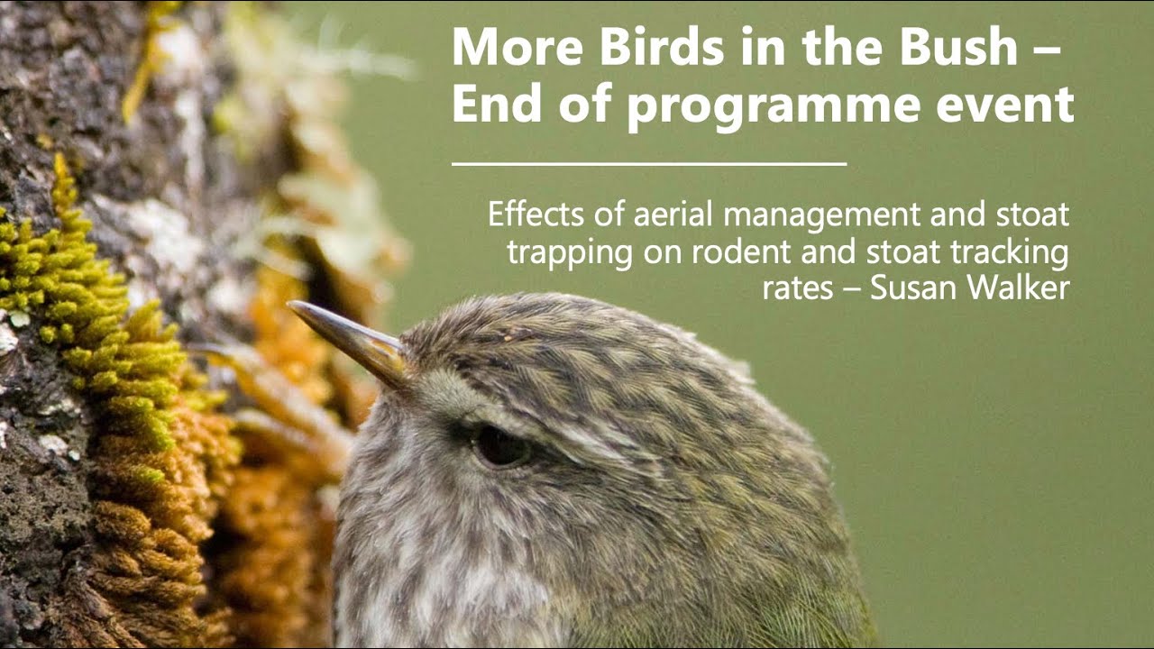 Effects of aerial management and stoat trapping on rodent and stoat tracking rates