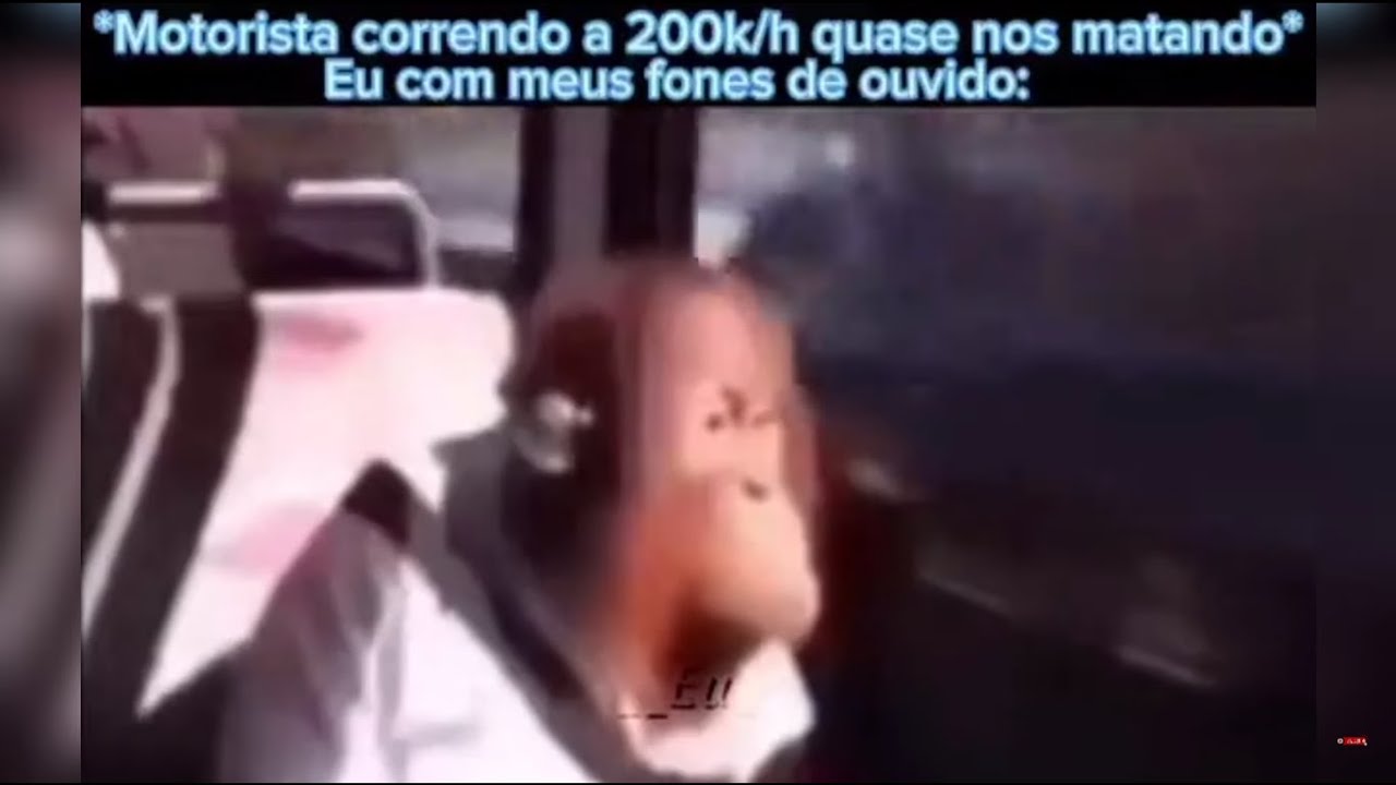 COMPILADO CANÔNICO DE SHITPOST E MEMES #227