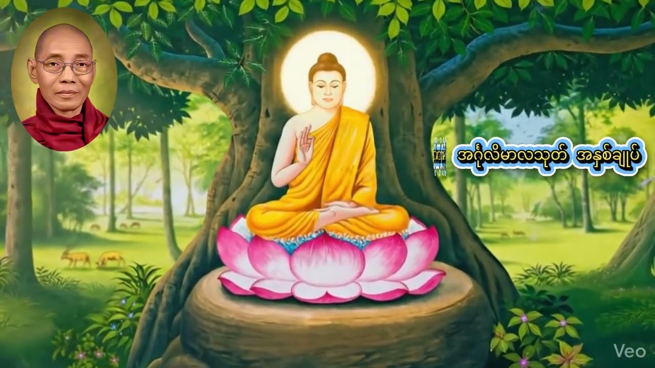 အင်္ဂုလိမာလသုတ် အနှစ်ချုပ်တရားတော် #ပါချုပ်ဆရာတော်တရားများmp3 #တရားတော်များ #ပရိတ်ကြီး_ #ကုသိုလ်